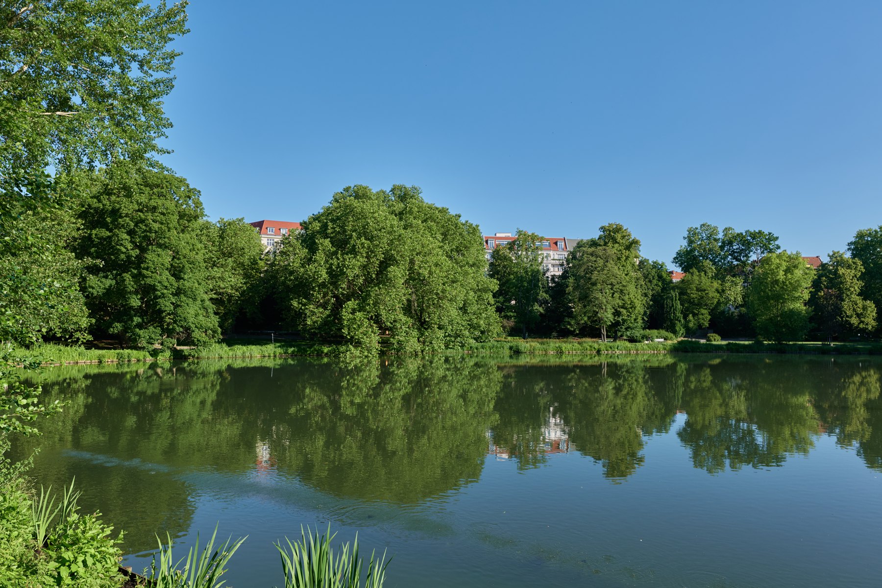 Bäume spiegeln sich im Lietzensee in Berlin-Charlottenburg